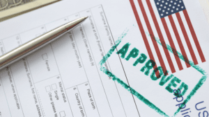 Type of RFES Issued by the USCIS