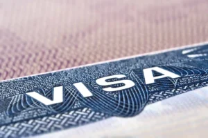 Close-up of a visa document with intricate security patterns.